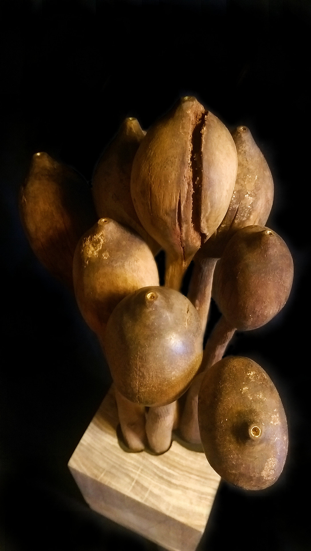 anenome wooden sculpture, grapes, squirt, nudi, tentacle, jewel, brandt naock
